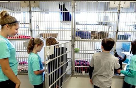 Humane society of west michigan - Humane Society of West Michigan is 100% donor funded and relies on the generosity of individuals, organizations, and companies to provide comprehensive care and shelter for …
